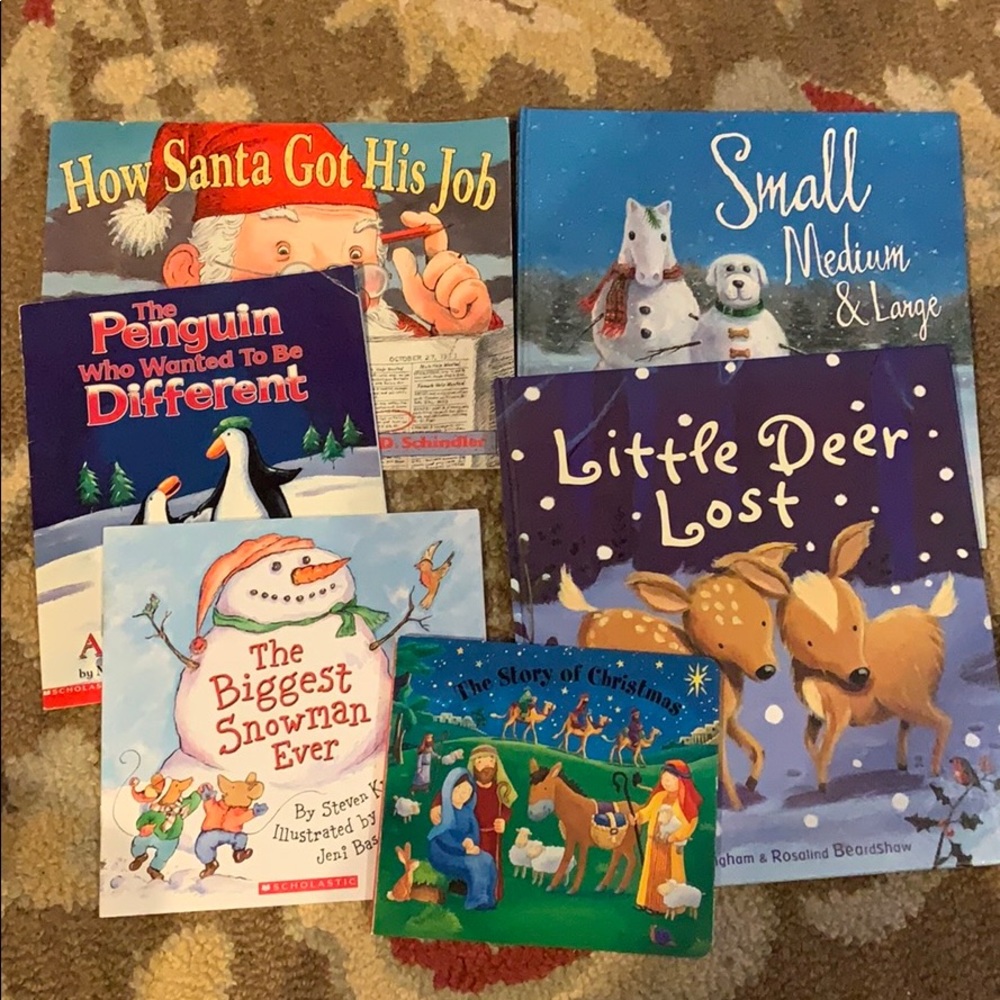 Really fun Christmas and Winter books